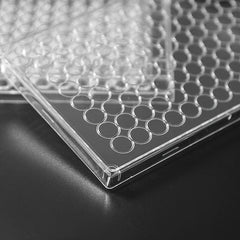 6-Well Flat Bottom Cell Culture Plate