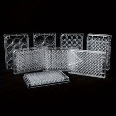 6-Well Flat Bottom Cell Culture Plate