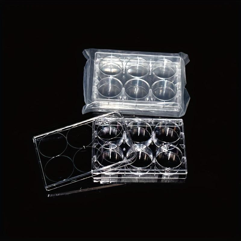 6-Well Flat Bottom Cell Culture Plate