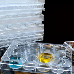 6-Well Flat Bottom Cell Culture Plate