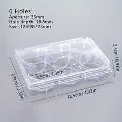 6-Well Flat Bottom Cell Culture Plate