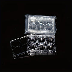 6-Well Flat Bottom Cell Culture Plate