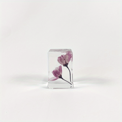 Transparent Amber Dried Flower Specimen & Resin Glue Kit