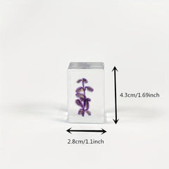 Transparent Amber Dried Flower Specimen & Resin Glue Kit