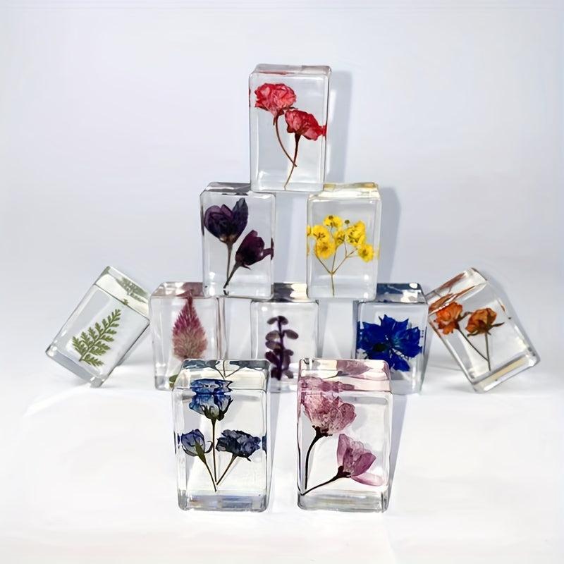 Transparent Amber Dried Flower Specimen & Resin Glue Kit