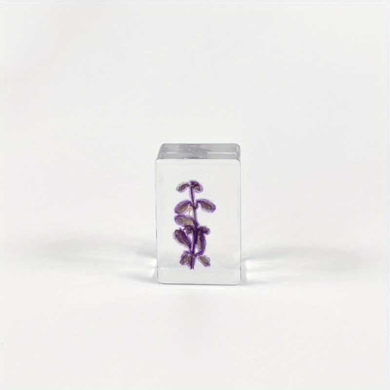 Transparent Amber Dried Flower Specimen & Resin Glue Kit