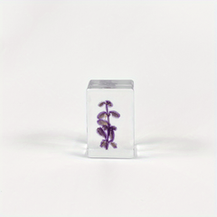 Transparent Amber Dried Flower Specimen & Resin Glue Kit