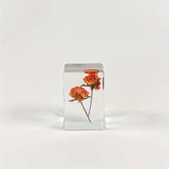 Transparent Amber Dried Flower Specimen & Resin Glue Kit