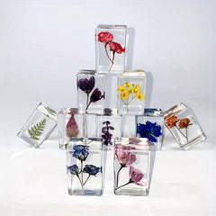 Transparent Amber Dried Flower Specimen & Resin Glue Kit