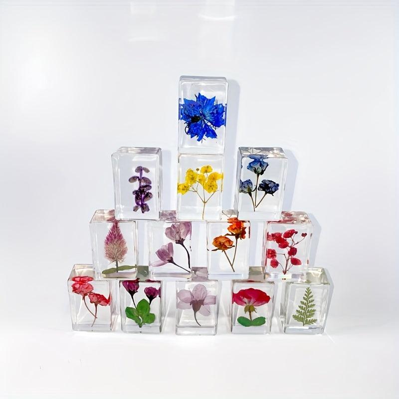 Transparent Amber Dried Flower Specimen & Resin Glue Kit