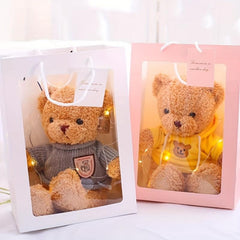 5pcs Fresh Style Gift Bag with Transparent Window, Portable Flower Bag