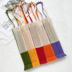 Unique Small Canvas Shopping Bag with Accordion Folds