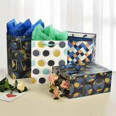 Medium Gift Bags Assorted with Tissue Paper for Birthdays and Holidays