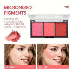 Blush Powder Palette 3 Shades Long Lasting Pigment
