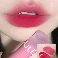 Waterproof Matte Lip Gloss Velvet Lip Mud Nude Chocolate Red Lip Tint