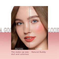 2 in 1 Waterproof Makeup Powder Blusher Eye shadow Stick