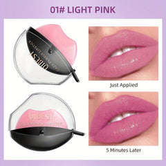 Matte Lipstick Set of 4 Long Lasting Colors