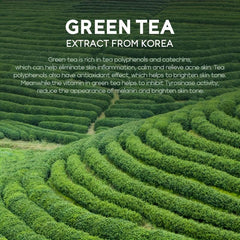 FENYI 3pcs Green Tea Eye Cream 15g Eye Moisturizing Cream