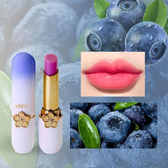 Blueberry Fruity Water Lips Rich Warm Lip Gloss