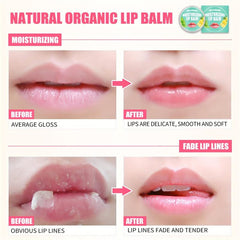 Hydrating Lip Balm for Fall & Winter Non-Greasy