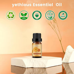 10ml Pumpkin Pie Fragrance Essential Oil Halloween Aromatherapy for Diffuser
