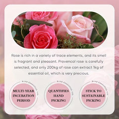 Rose Rosemary Lavender Chamomile Essential Oils Set for Skin, Body, Hair Care