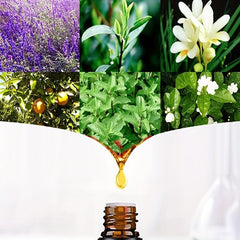 Organic Essential Oils - Aromatherapy Diffuser Set