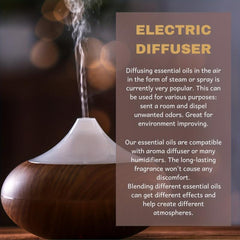 3 Pcs Aromatherapy Essential Oil Set for Diffuser and Soap Making