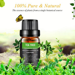 Hydrating & Moisturizing Pore Refining Cleanser for Diffuser Humidifiers