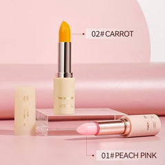 Hydrating Tinted Lip Balm Lipstick Lip Moisturizer