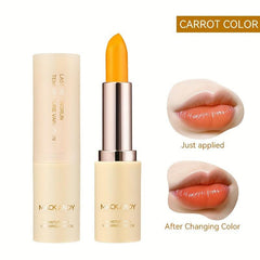 Hydrating Tinted Lip Balm Lipstick Lip Moisturizer