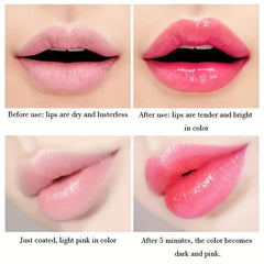 Moisturizing Jelly Lipstick Hydrating Lip Balm Aging Resisting Lip Care