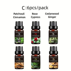 6-Piece Herbal Plant Essential Aromatherapy Set