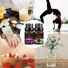 6-Piece Herbal Plant Essential Aromatherapy Set