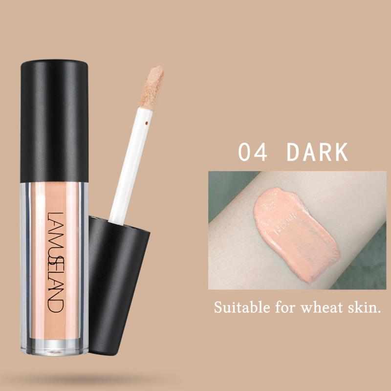 4 Colors Face Finishing Concealer Foundation Face Primer Liquid Concealer