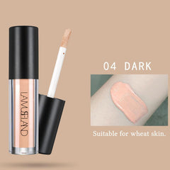 4 Colors Face Finishing Concealer Foundation Face Primer Liquid Concealer