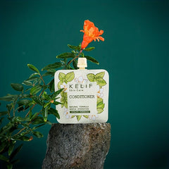 Green Plant Care Body Wash Citrus Orange Bergamot Woody Fragrance