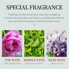 Christmas Hand Cream Gift Set - Deeply Moisturizing & Nourishing