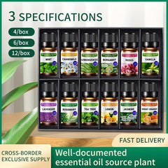 Essential Oils Set Natural Essential Oils Perfect For Diffuser Aromatherapy
