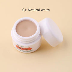 Waterproof Cream Concealer Correcting Set