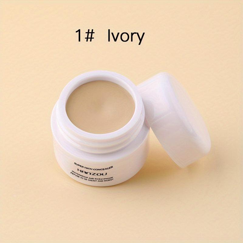 Waterproof Cream Concealer Correcting Set