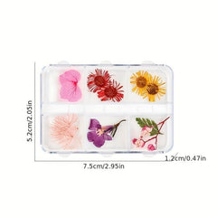 Japanese Nail Dried Flower Set 3D Flowers Full Of Star Petals DIY Nail Art