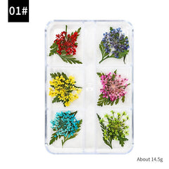 Japanese Nail Dried Flower Set 3D Flowers Full Of Star Petals DIY Nail Art