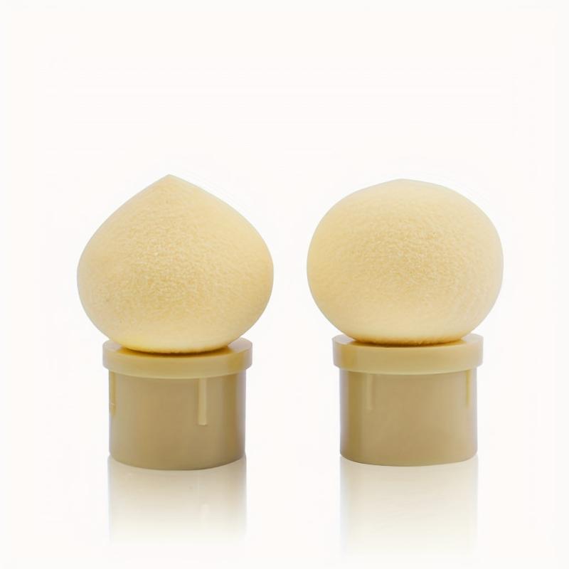 Dual Head Nail Sponge Brush with 4 Replacement Heads