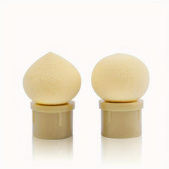 Dual Head Nail Sponge Brush with 4 Replacement Heads