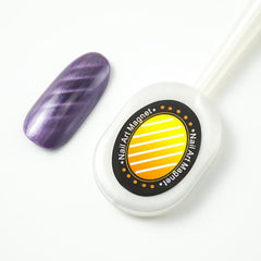 6 pcs Cat Eye Gel Polish Nails Art Manicure Magnetic Stick