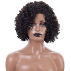 Brown Curly Afro Wig Women Side Bangs Natural Synthetic Curly Wig
