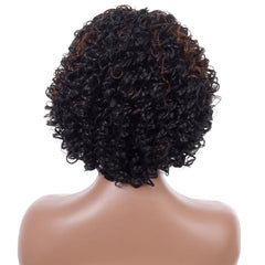 Brown Curly Afro Wig Women Side Bangs Natural Synthetic Curly Wig