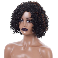 Brown Curly Afro Wig Women Side Bangs Natural Synthetic Curly Wig