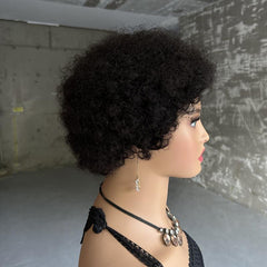 Afro Curly Wave Brazilian Human Hair Wig - Kinky Curly Wig